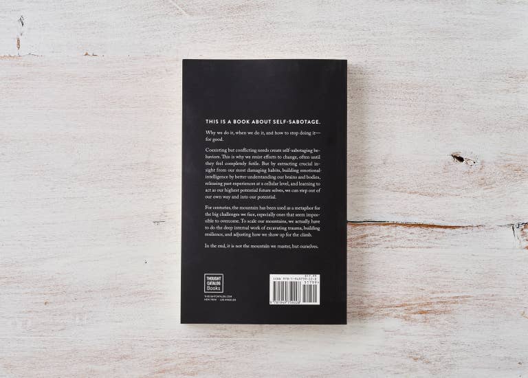 The Mountain Is You - book: Hardcover