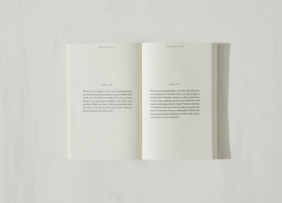 The Pivot Year - book: Hardcover