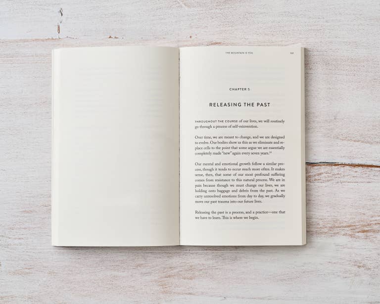 The Mountain Is You - book: Hardcover