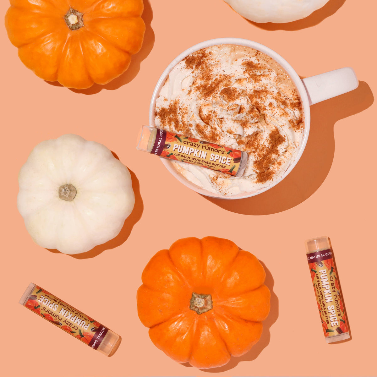 All Natural, Vegan Pumpkin Spice Lip Balm - Seasonal